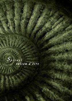 Raison D'Être : Spiraal